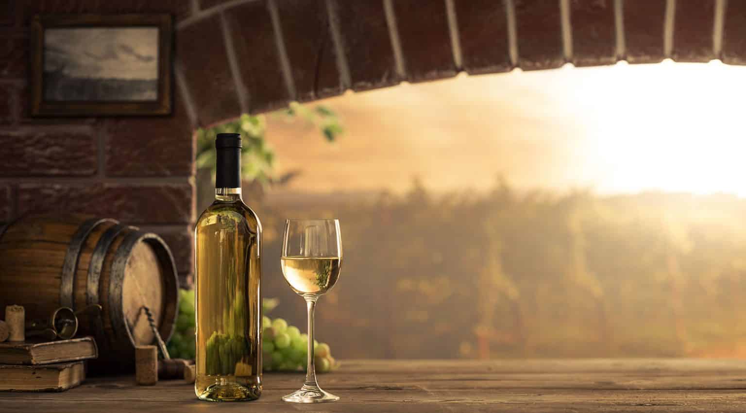 wine tasting_local vineyard