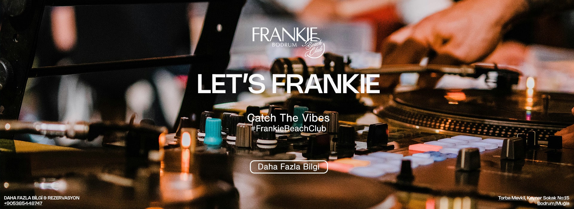 lets-frankie-tr-web